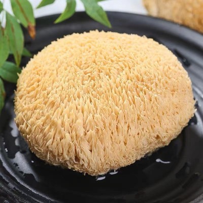 猴头菇新货500g无硫熏猴头菇干货食用菌菇批发煲汤食材菌菇批发   1斤图4