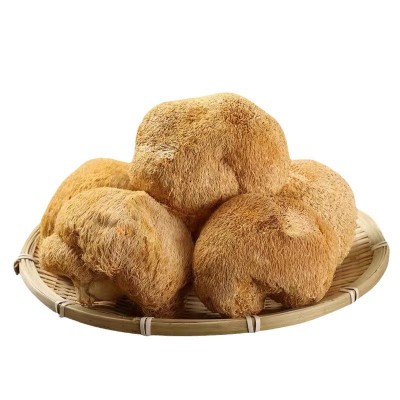 猴头菇新货500g无硫熏猴头菇干货食用菌菇批发煲汤食材菌菇批发   1斤图5