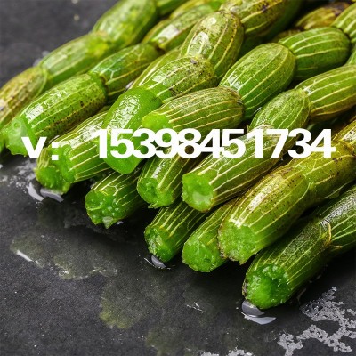 铁皮石斛干条鲜条新货500g散装批发云南石斛花枫斗珍虫非霍山紫皮    1斤图4