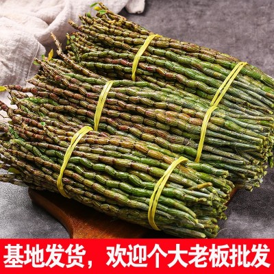 铁皮石斛干条鲜条新货500g散装批发云南石斛花枫斗珍虫非霍山紫皮    1斤