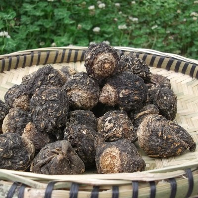 玛卡干果云南会泽丽江特产现货黑马卡礼品玛咖果量大更优    1千克图4