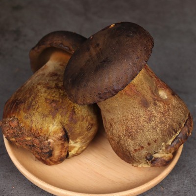 黑牛肝菌野生云南特产新鲜菌子野生菌类鲜货新鲜食用鲜菌现采批发     1箱图3
