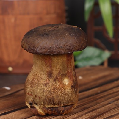 黑牛肝菌野生云南特产新鲜菌子野生菌类鲜货新鲜食用鲜菌现采批发     1箱图4