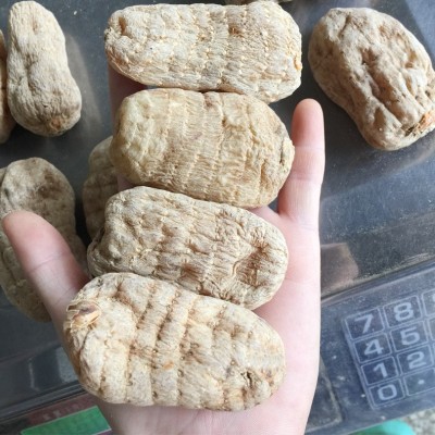 云南昭通天麻可免费打天麻细粉 小草坝 丽江红天麻产地批发     1斤图3