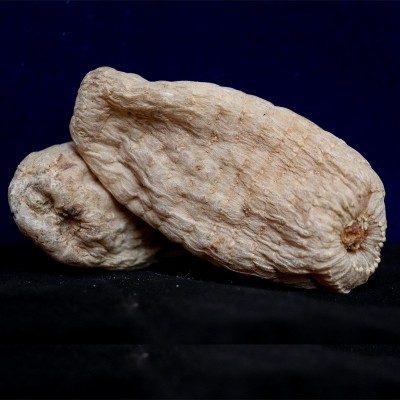 云南小草坝天麻500克包邮     2件图4