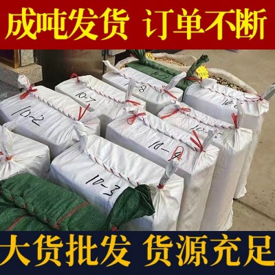 文山三七头三七粉田七基地水洗不打蜡三七20头 30头40头60头批发       1件图3