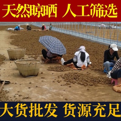 文山三七头三七粉田七基地水洗不打蜡三七20头 30头40头60头批发       1件图4