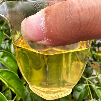 云南茶叶 普洱茶批发 原料散装 勐库冰岛西半山生茶 普洱茶      1斤图3