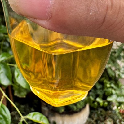 批发 云南普洱茶 茶叶 凤凰窝古树普洱生茶散茶 500克袋装        1斤图4