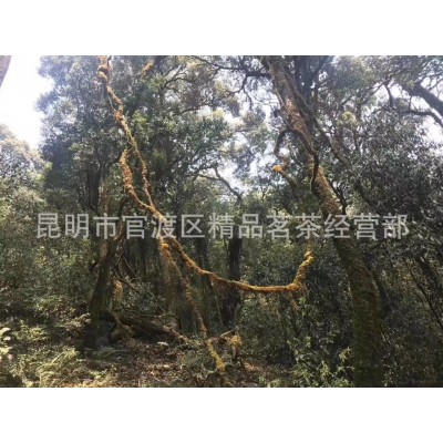 明前春茶野生古树红茶400年云南勐库古树滇红茶500g古树茶     1斤图2