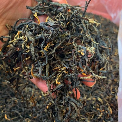 当季 500g荒野大条凤庆红茶 大叶种滇红茶散茶整件批发      30斤