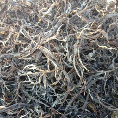 批发云南古树陈香普洱茶生茶 散茶冰岛生散头春头採古树散茶  2斤图2