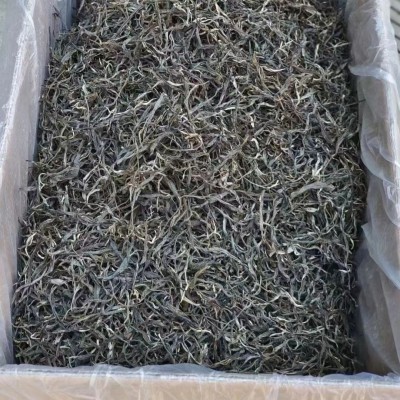 批发云南古树陈香普洱茶生茶 散茶冰岛生散头春头採古树散茶  2斤图3