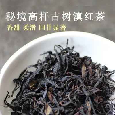 秘境大古树滇红茶 50g凤庆滇红 野韵 花果香云南特产产地直发      50g