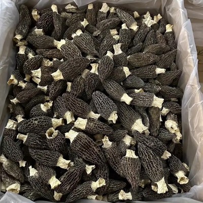 羊肚菌干货云南原产地批发价便宜羊肚菌干菌一件代发规格齐全批发2件