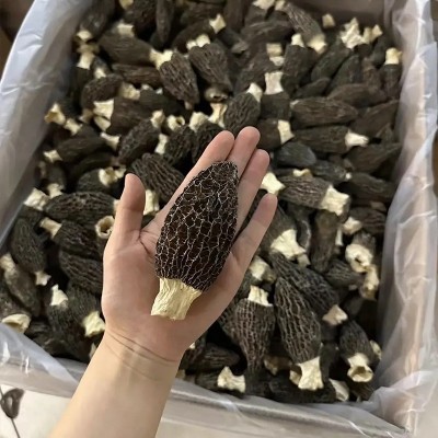 羊肚菌干货云南原产地批发价便宜羊肚菌干菌一件代发规格齐全批发2件图5