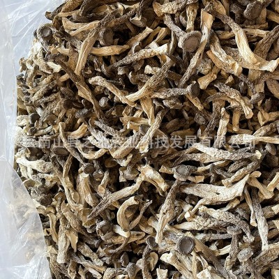 鹿茸菇干货厂家鹿茸菌脆脆菇云南特产品甄选整箱代发批发煲汤菌菇2件图3