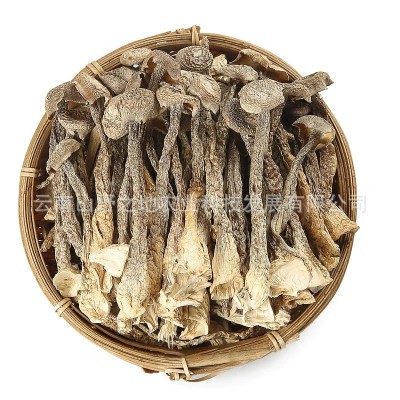 鹿茸菇干货厂家鹿茸菌脆脆菇云南特产品甄选整箱代发批发煲汤菌菇2件
