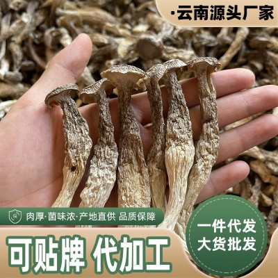 鹿茸菇干货厂家鹿茸菌脆脆菇云南特产品甄选整箱代发批发煲汤菌菇2件图4