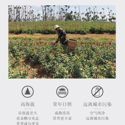 花草茶冻干墨红玫瑰 茶 食用花茶云南大理滇红玫瑰瓶装直播批发   2千克图2