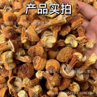 [姬松茸]云南特产松茸菇批发一件代发巴西菇    1克图3