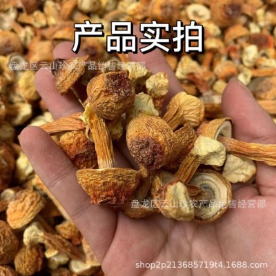 [姬松茸]云南特产松茸菇批发一件代发巴西菇    1克图4