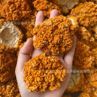 [金耳]云南特产金耳干货黄耳煲汤批发一件代发   1千克图2
