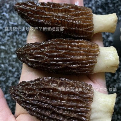 羊肚菌干货云南特产高山羊肚菌干货头茬剪柄羊肚菌煲汤批发代发    1千克图3