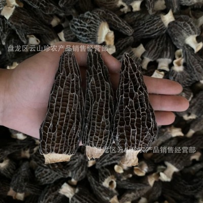 羊肚菌干货云南特产高山羊肚菌干货头茬剪柄羊肚菌煲汤批发代发    1千克图5