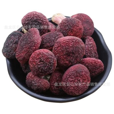 [红菇]云南特产红菇小红姑蓝底红姑丁菇月子红菌批发一件代发   1千克图4