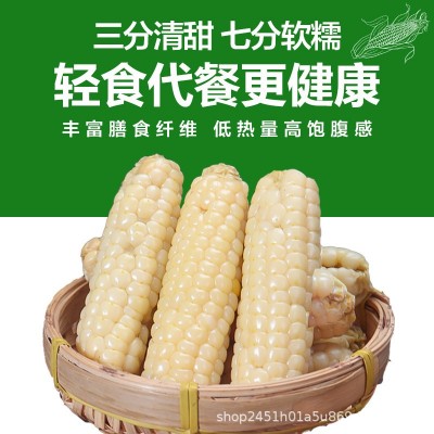 云南西双版纳拇指小玉米新鲜香甜糯玉米粒迷你儿童即食真空包装    1箱图3