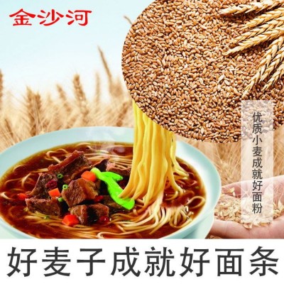 金沙河家味鸡蛋挂面龙须面炒面条清汤中宽拉面宽面待煮早餐批发5袋图2