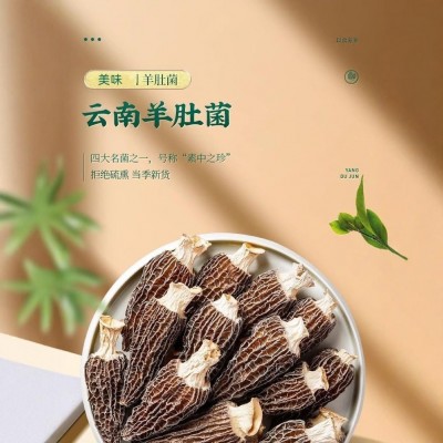 云南特级羊肚菌批发价菌菇干货精选正品煲汤食材农家特产厂家批发1千克图3