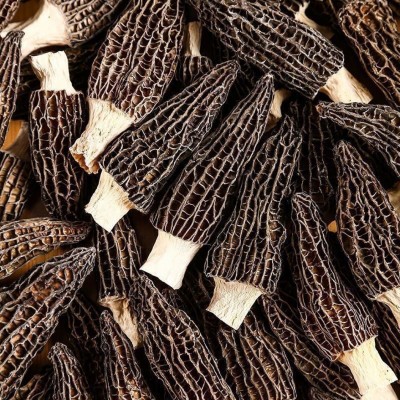 云南特级羊肚菌批发价菌菇干货精选正品煲汤食材农家特产厂家批发1千克图4