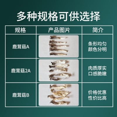 基地直销无沙鹿茸菇干货散装500克无碎鹿茸菇干货 一件代发1斤图3