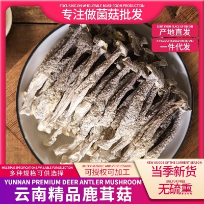 基地直销无沙鹿茸菇干货散装500克无碎鹿茸菇干货 一件代发1斤