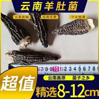 云南高原羊肚菌干货食品酒水剪柄无沙头茬羊肚菌羊肚菌菇干 货批发1袋图3