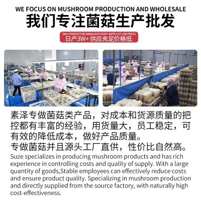 产地直销高原羊肚菌菇干货500克无沙头茬羊肚菌干货大货批 发 包邮1斤图2