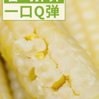 云南西双版纳拇指玉米即食早餐代餐新鲜傣家甜香糯迷你手指小玉米1斤图4