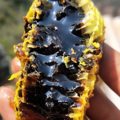 黑蜂蜜批发工厂直销500g蜂蜜源头厂家纯正土蜂蜜百花蜂蜜团花蜜正1g图2