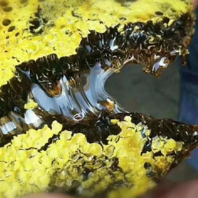 黑蜂蜜批发工厂直销500g蜂蜜源头厂家纯正土蜂蜜百花蜂蜜团花蜜正1g图3