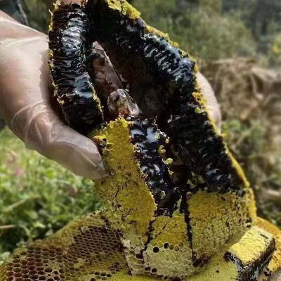 黑蜂蜜批发工厂直销500g蜂蜜源头厂家纯正土蜂蜜百花蜂蜜团花蜜正1g图4