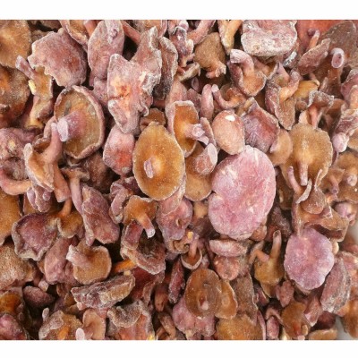 【裕菌隆】 红乳牛肝 野生菌冻品 生冻红乳牛肝菌 火锅牛肝菌批发      40千克图5