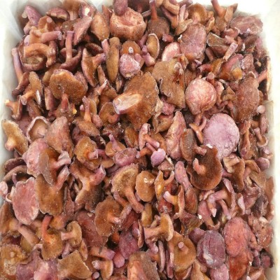 【裕菌隆】 红乳牛肝 野生菌冻品 生冻红乳牛肝菌 火锅牛肝菌批发      40千克图2