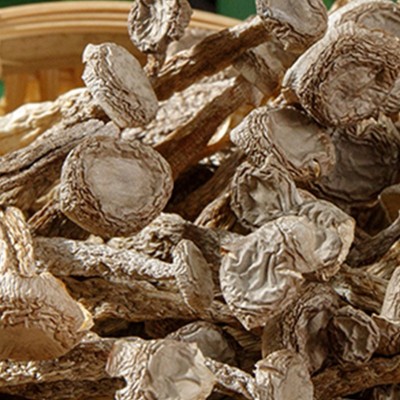 厂家货源云南特产鹿茸菇干货食用菌鹿茸菌干货产地货源现货批发      1件图4