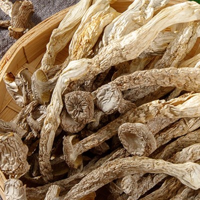 厂家货源云南特产鹿茸菇干货食用菌鹿茸菌干货产地货源现货批发      1件图3