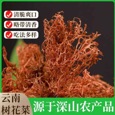 红树花云南特产山珍山货树毛胡子菌类干货特色凉拌下饭菜一件代发1件