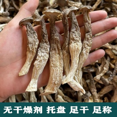 鹿茸菇干货500g家用商用菌菇特产脆脆菇煲汤食材蘑菇支持一件代发1件图2
