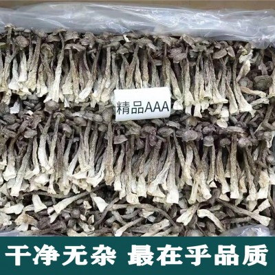 鹿茸菇干货500g家用商用菌菇特产脆脆菇煲汤食材蘑菇支持一件代发1件