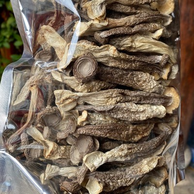 鹿茸菇干货500g家用商用菌菇特产脆脆菇煲汤食材蘑菇支持一件代发1件图5